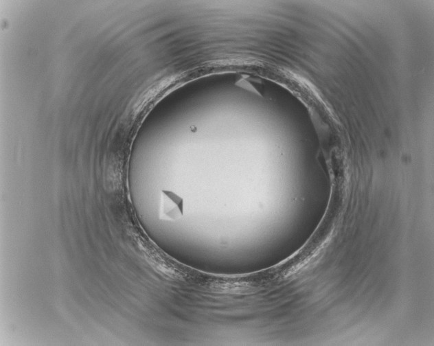 X0000059230833200510281903