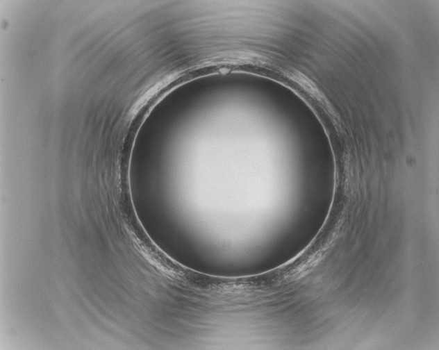 X0000059230834200510281903