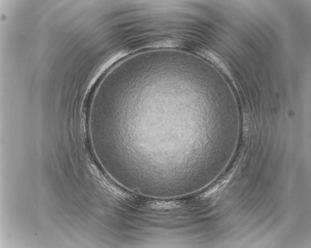 X0000059230835200510281903