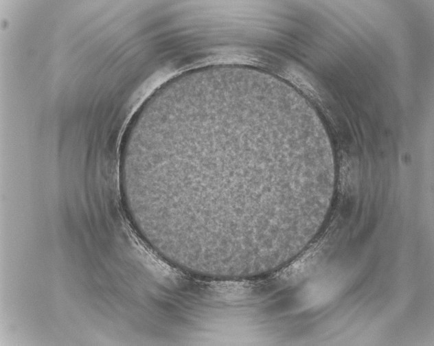 X0000059230836200510281903