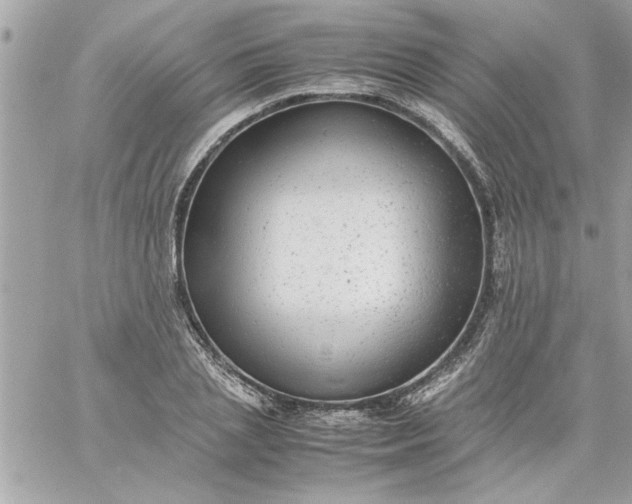 X0000059230837200510281903