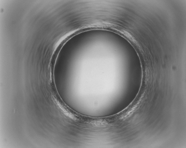 X0000059230838200510281903