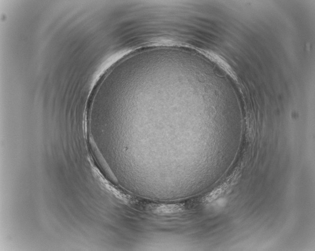 X0000059230839200510281903