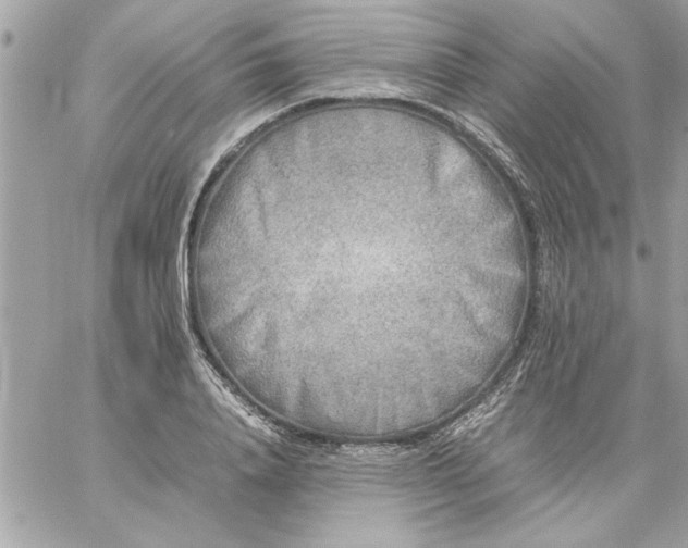 X0000059230840200510281903