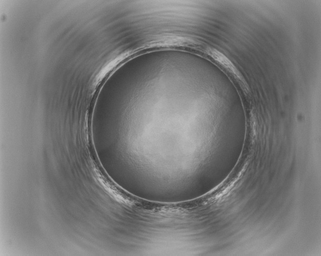 X0000059230842200510281903