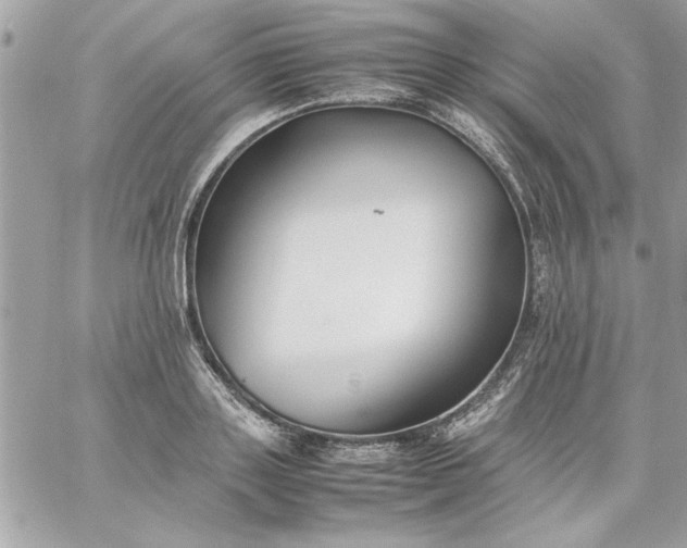 X0000059230843200510281903