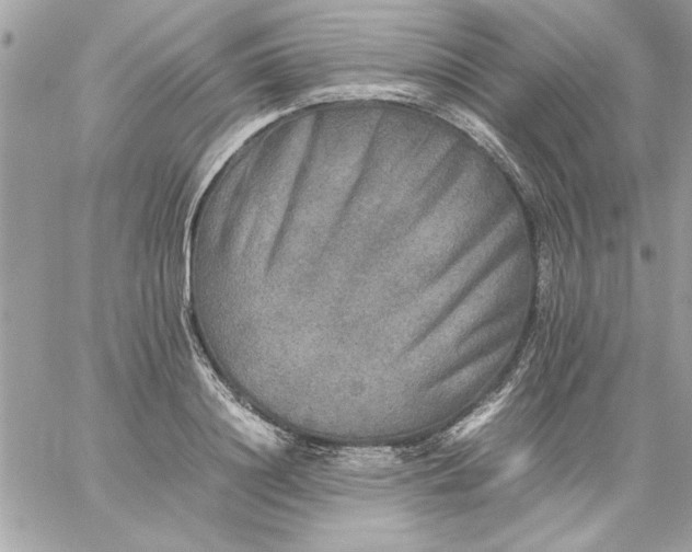 X0000059230844200510281903