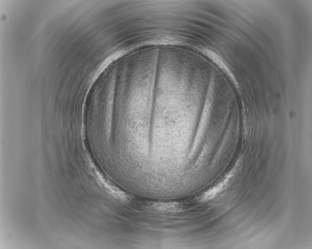 X0000059230845200510281903