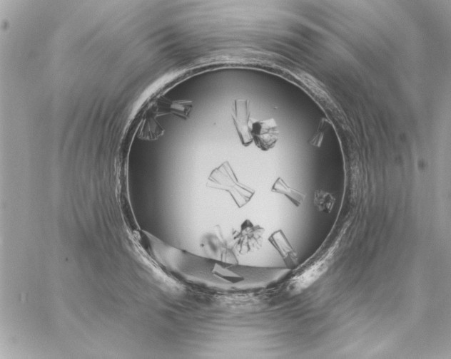 X0000059230846200510281903