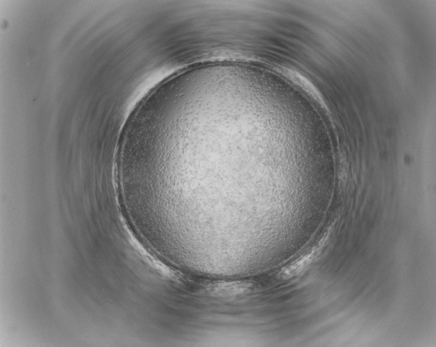 X0000059230847200510281903