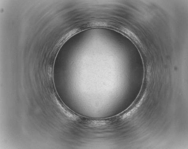 X0000059230849200510281903