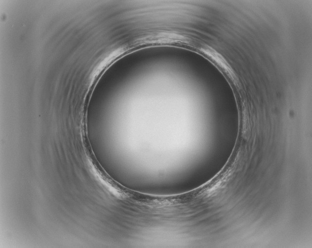 X0000059230850200510281903