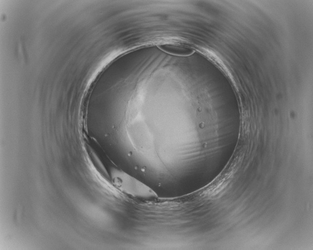 X0000059230851200510281903