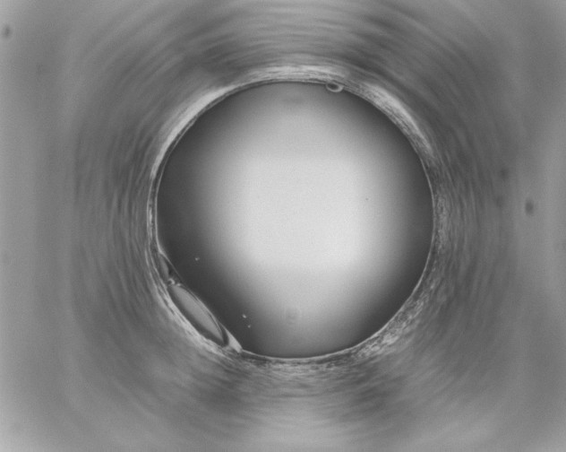 X0000059230852200510281903