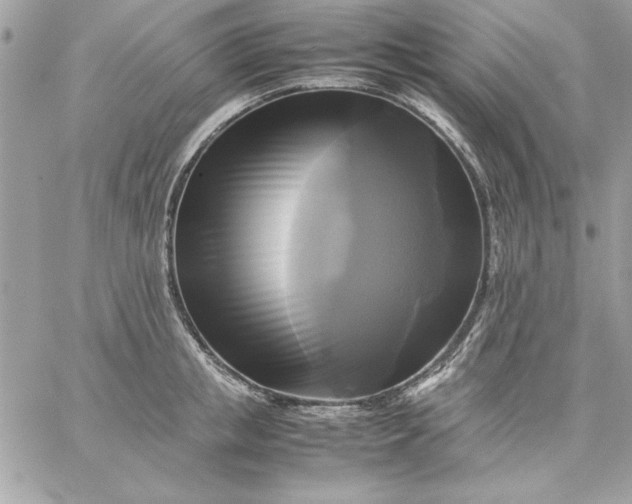 X0000059230853200510281903