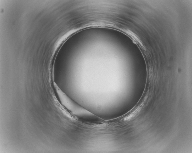 X0000059230854200510281903