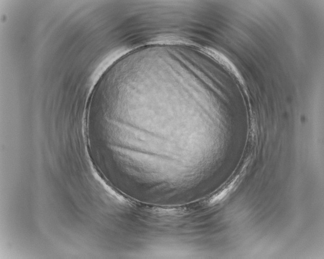 X0000059230855200510281903