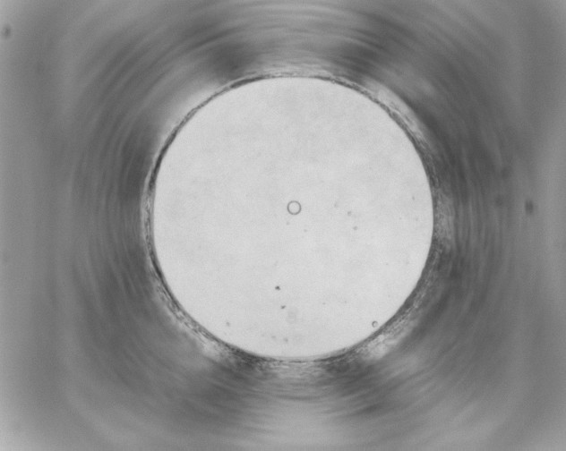 X0000059230856200510281903