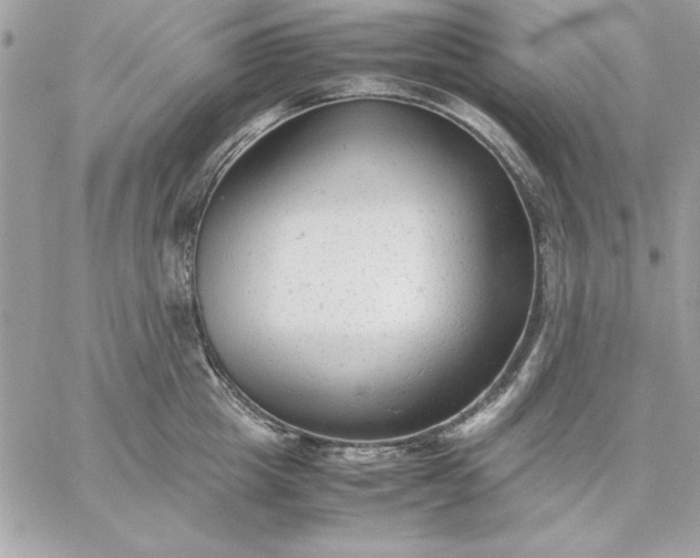 X0000059230857200510281903