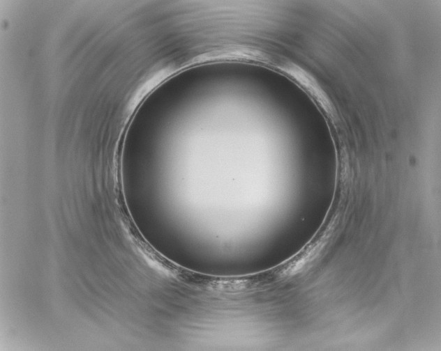 X0000059230858200510281903