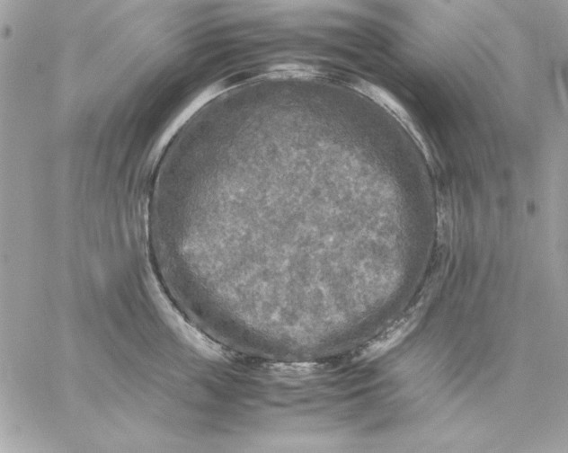 X0000059230859200510281903