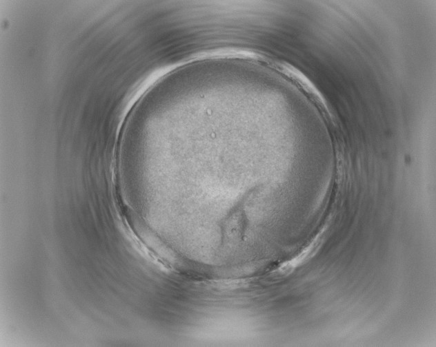 X0000059230860200510281903