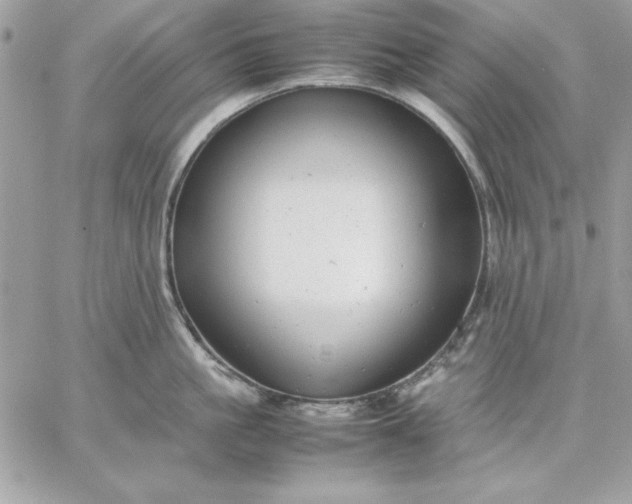 X0000059230861200510281903