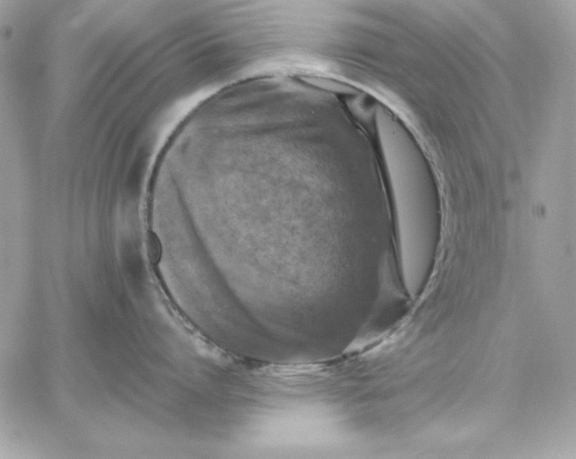 X0000059230864200510281903