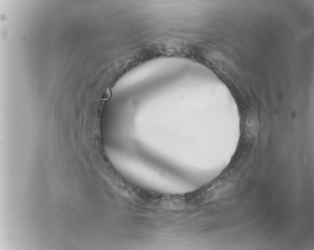 X0000059230865200510281903