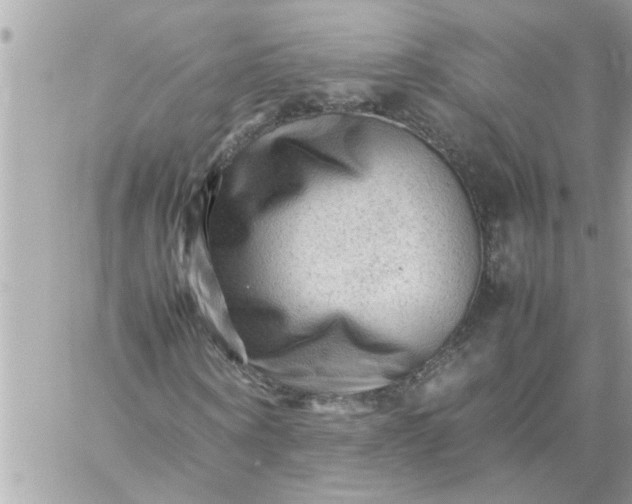 X0000059230866200510281903