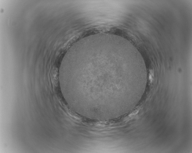 X0000059230867200510281903