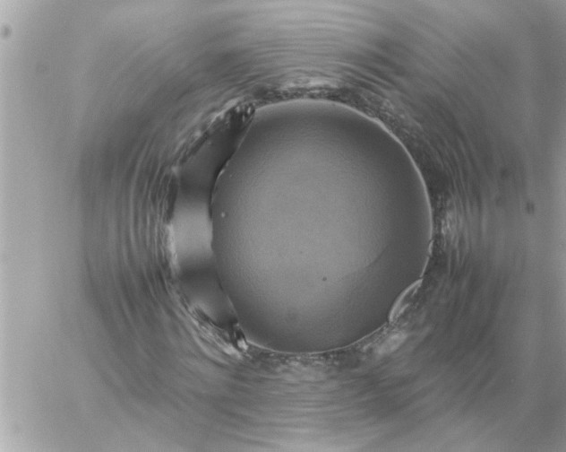 X0000059230868200510281903