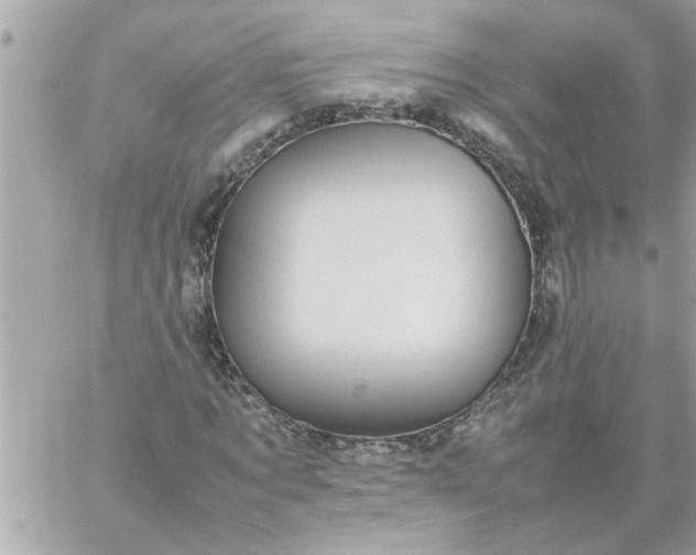 X0000059230869200510281903