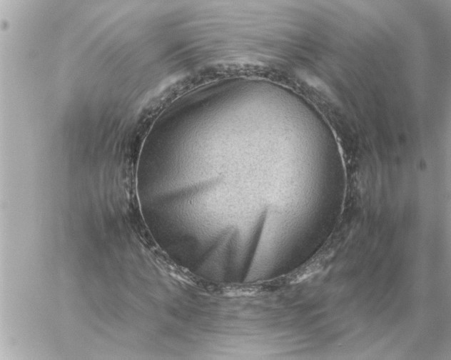 X0000059230870200510281903