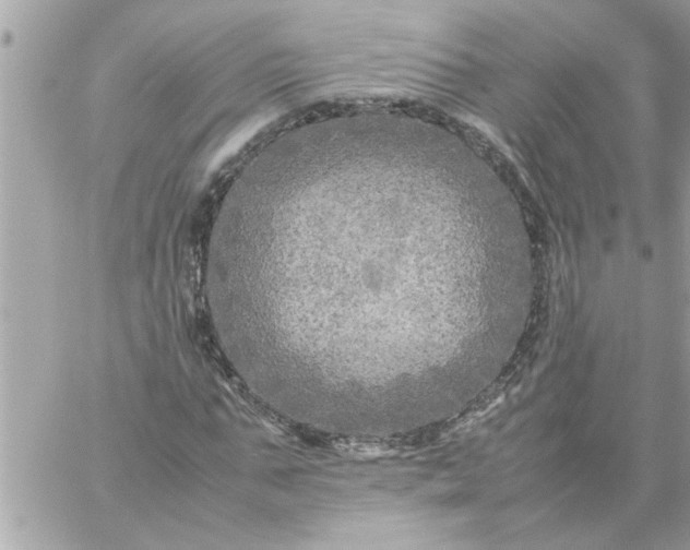 X0000059230871200510281903