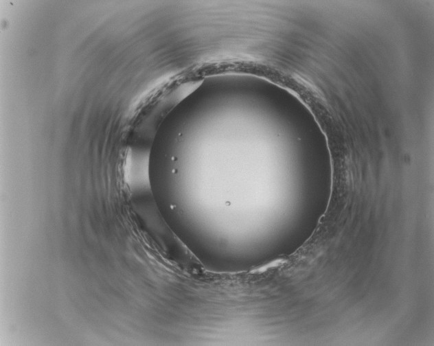 X0000059230872200510281903