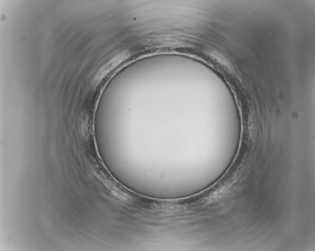 X0000059230873200510281903