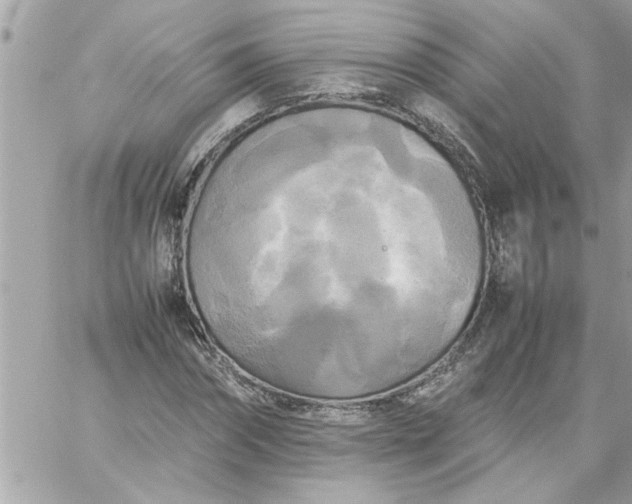 X0000059230874200510281903