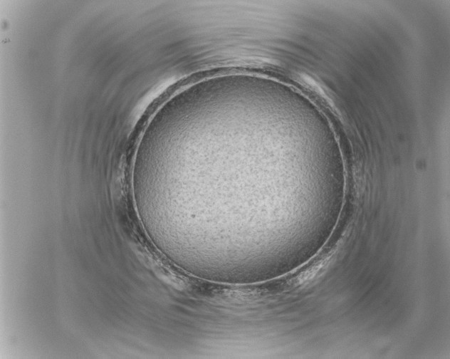 X0000059230875200510281903