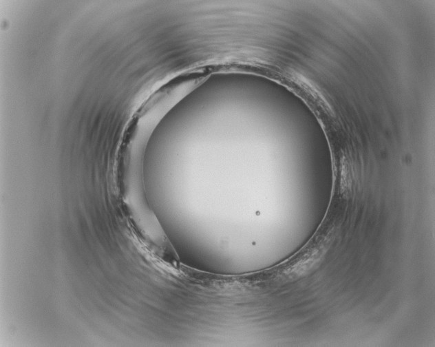 X0000059230876200510281903