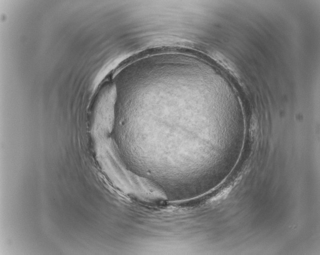 X0000059230877200510281903