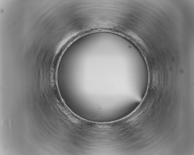 X0000059230878200510281902