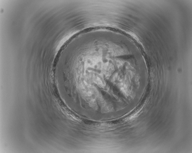 X0000059230879200510281902