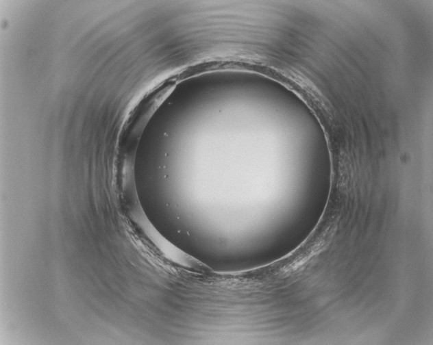 X0000059230880200510281902