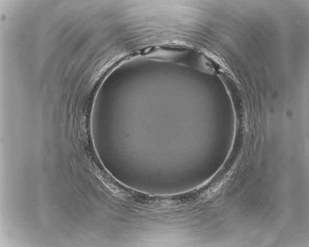 X0000059230881200510281902