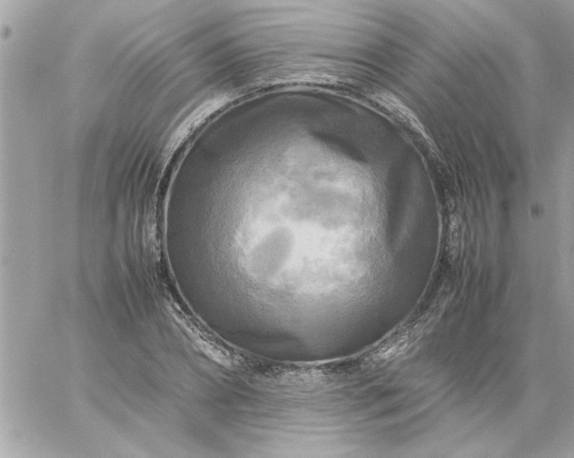 X0000059230882200510281902