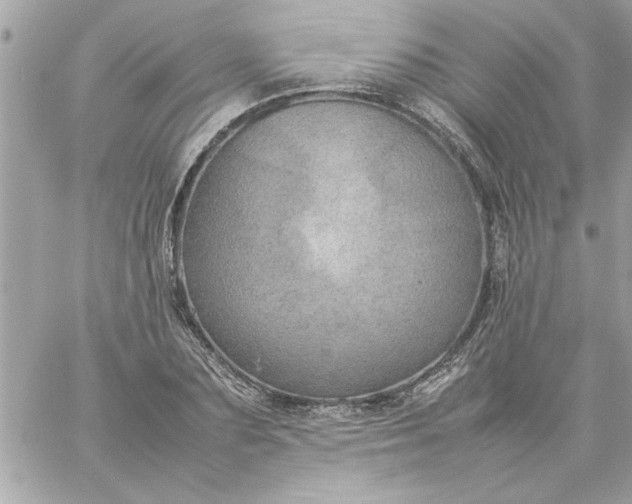 X0000059230883200510281902