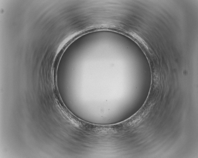 X0000059230886200510281902