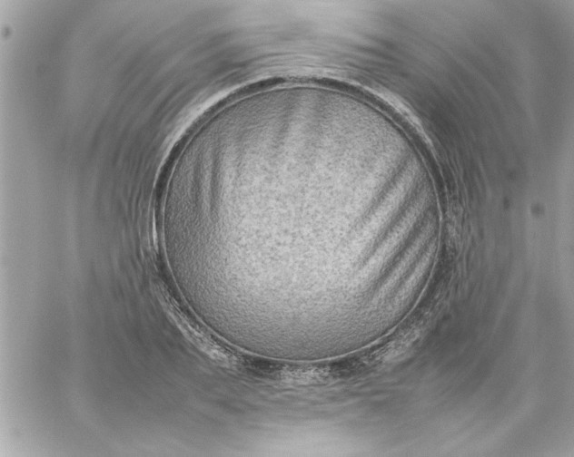 X0000059230887200510281902