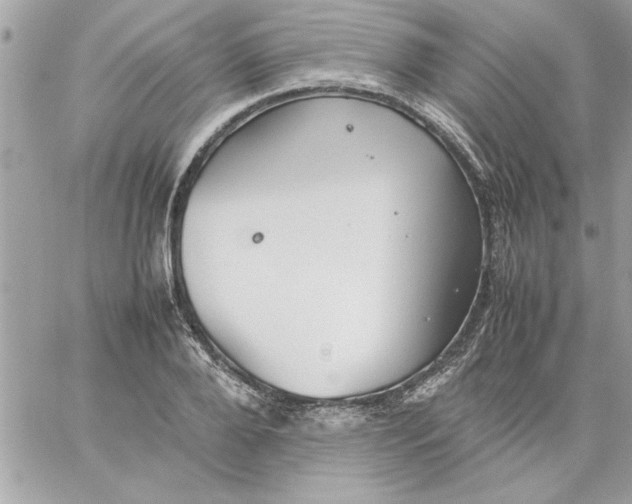 X0000059230888200510281902